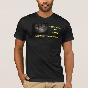Camiseta Que parte de saber você não entende?