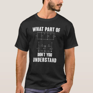 Camiseta Que parte de você não entende professor de física?