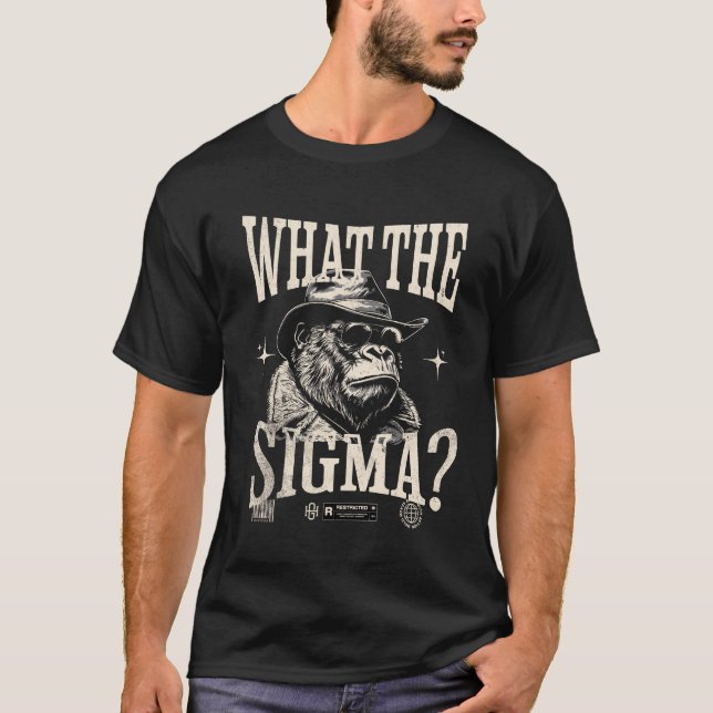 Camiseta Que Sigma? Ironic Meme Brainrot (Frente)