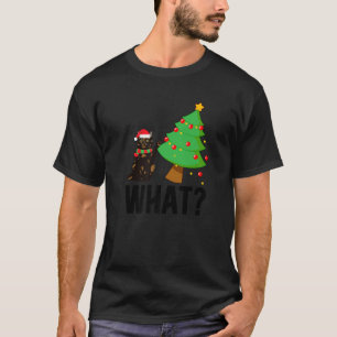 Camiseta Que Tortie Cat de Natal Tortoisesinferh Cat Xmas P