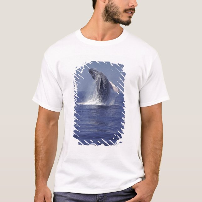 Camiseta Quebra de baleia-jubarte (Megaptera) (Frente)