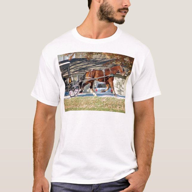 Camiseta Queda do Cavalo Amish (Frente)