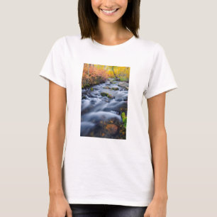 Camiseta Queda Lundy Creek, Califórnia