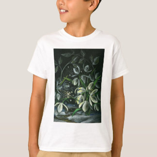 Camiseta Quedas de neve à noite