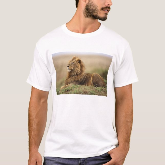 Camiseta Quênia, Masai Mara | Mano Lion (Frente)