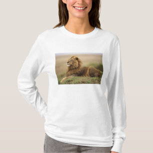 Camiseta Quênia, Masai Mara Mano Lion