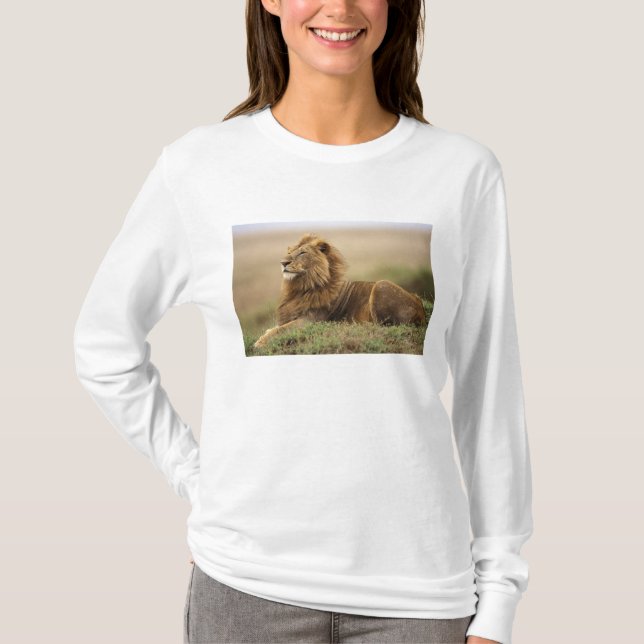 Camiseta Quênia, Masai Mara | Mano Lion (Frente)