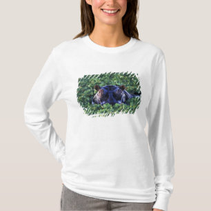Camiseta Quênia, Masai Mara Reserva Nacional.