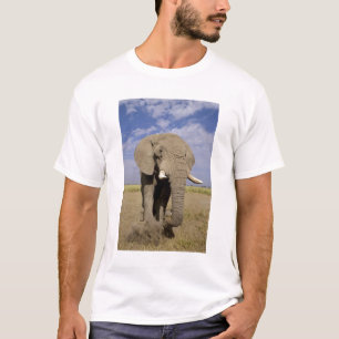 Camiseta Quênia: Parque Nacional de Amboseli, elefante mach