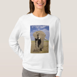 Camiseta Quênia: Parque Nacional de Amboseli, elefante mach