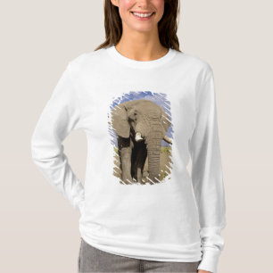 Camiseta Quênia: Parque Nacional de Amboseli, elefante mach