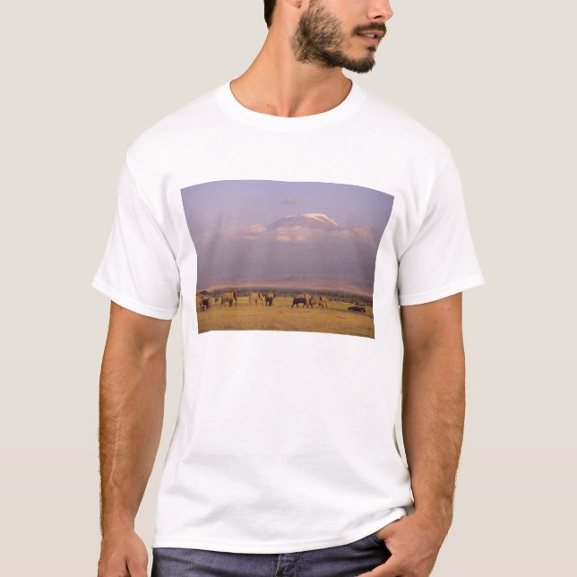 Camiseta Quênia: Parque Nacional de Amboseli, Elefantes (Frente)