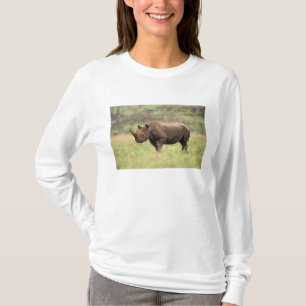 Camiseta Quênia, Parque Nacional de Nairobi. Rinoceronte Ne