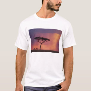 Camiseta Quênia: Parque Nacional Masai Mara, Pôr do sol.