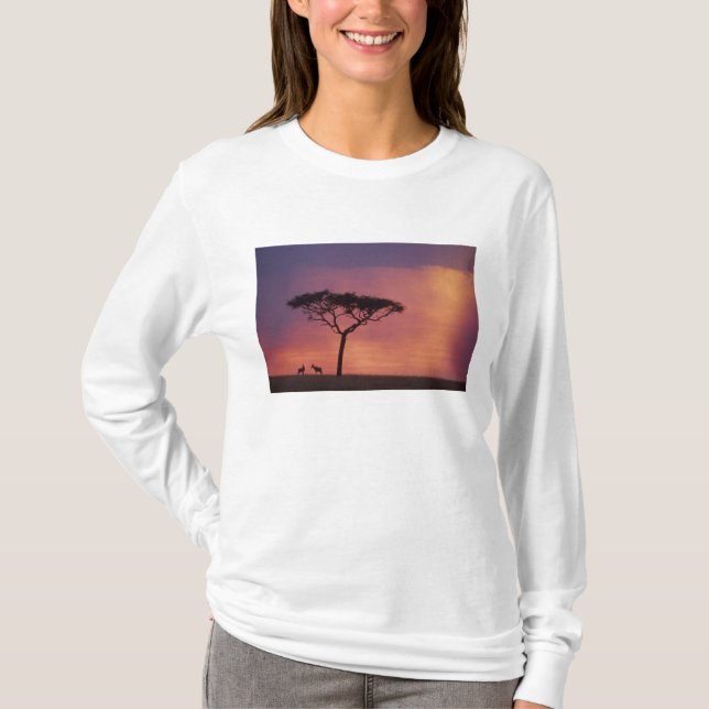 Camiseta Quênia: Parque Nacional Masai Mara, Sunset. (Frente)