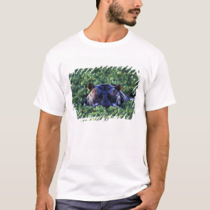 Camiseta Quênia, Reserva Nacional Masai Mara.