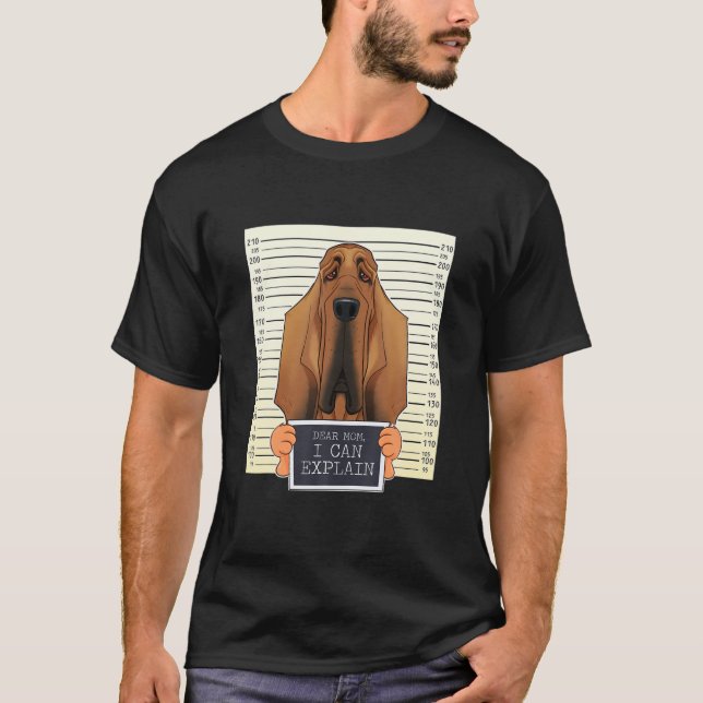 Camiseta Querida Mãe Posso Explicar Que Encontrei A Mãe E B (Frente)