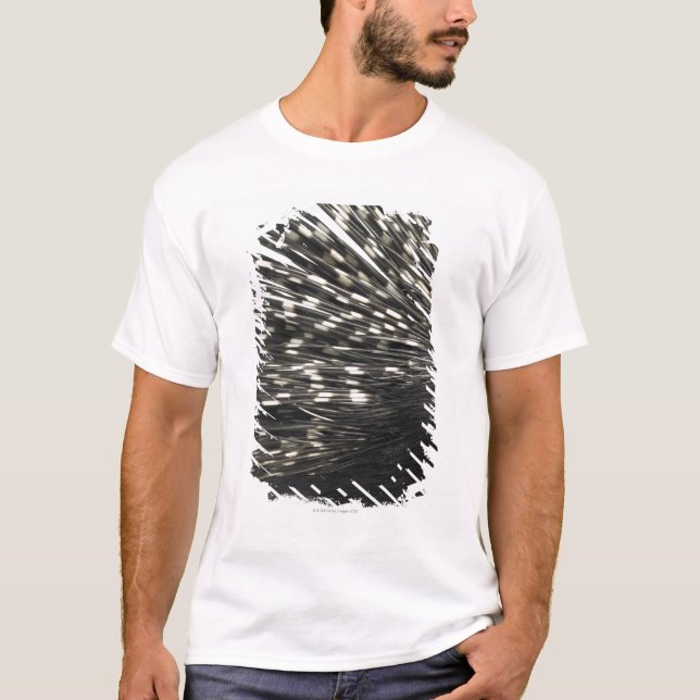 Camiseta Quills do porco- (Frente)