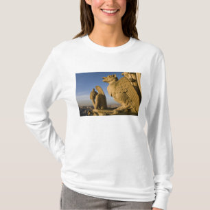 Camiseta Quimera na fachada da Catedral de Notre Dame,