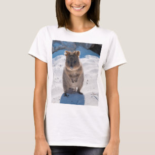 Camiseta Quokka, Rottnest Island, Austrália