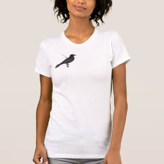 Camiseta Quoth o corvo