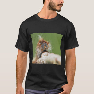 Camiseta R1191 Conclusão 2021 Papillon Du Futur C T Olavia 