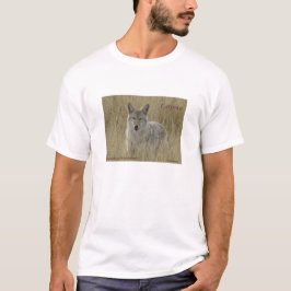 Camiseta R2 Coyote na Grama Alta