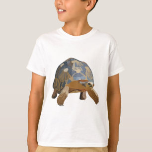 Camiseta R é para a tartaruga radiada