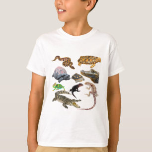 Camiseta R é para Réptil. Illustr Detalhada do Trabalho de 