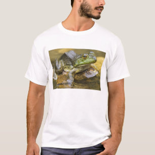 Camiseta Rã ao longo do rio Buffalo, Milha 126 no