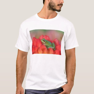 Camiseta Rã-arbórea-do-pacífico em flores no jardim