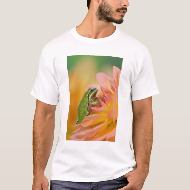 Camiseta Rã-arbórea-do-pacífico em flores no nosso jardim,  (Frente)