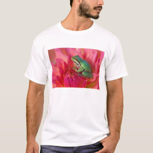 Camiseta Rã-arbórea do Pacífico em flores no nosso jardim