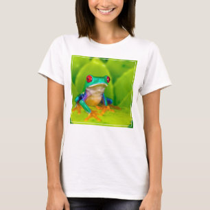 Camiseta Rã de olhos vermelhos, Costa Rica