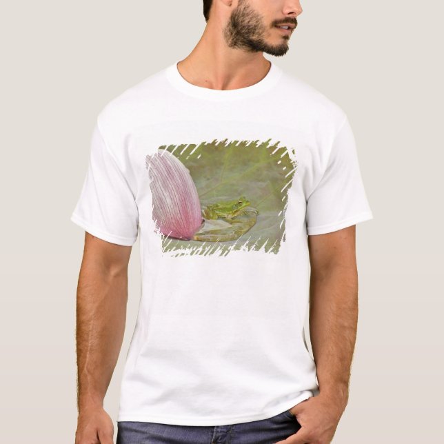 Camiseta Rã e pétala de flor de lótus, China, (Frente)