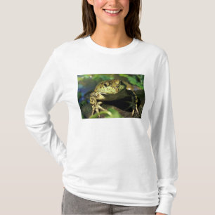 Camiseta Rã-touro.