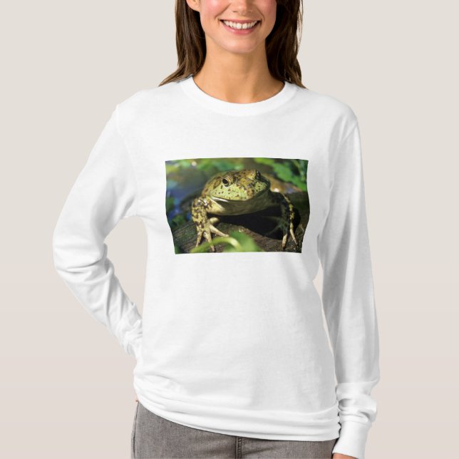 Camiseta Rã-touro. (Frente)