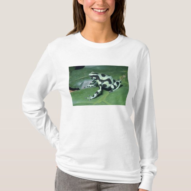 Camiseta Rã venenosa, (Dendrobates auratus) Cahuita (Frente)