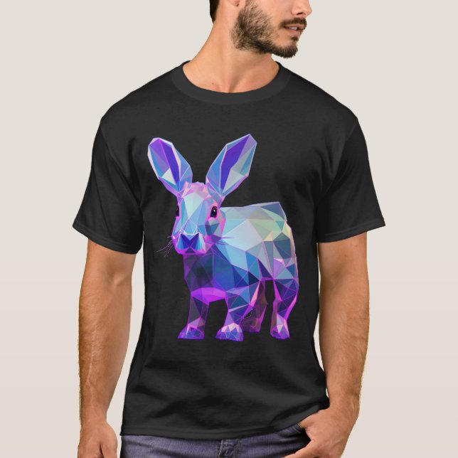 Camiseta Rabo Geométrico Arco-Íris (Frente)