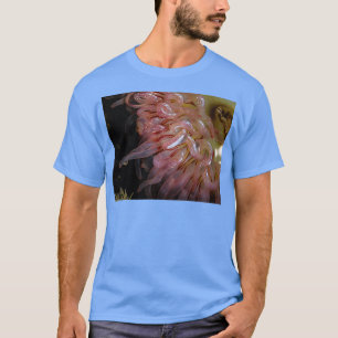 Camiseta rabugento