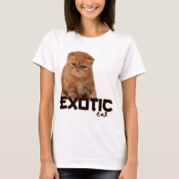 raças exóticas do gato