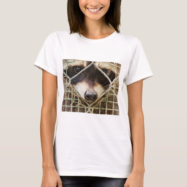 Camiseta raccon em t-shirts (Frente)