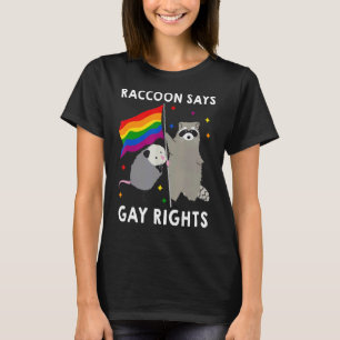 Camiseta Raccoon Diz Direitos Humanos Igualdade com Direito