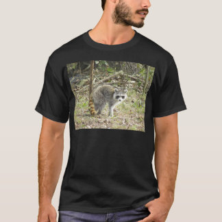 Camiseta Racoon