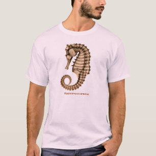 Camiseta Radiografe a parte dianteira do erectus do