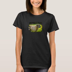 Camiseta Rafeiro De Cão Alentejo