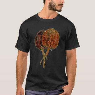 Camiseta Raia Stingray Peixe Exótico Monstro Potamotrygon A