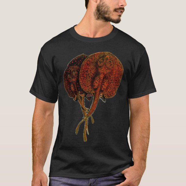 Camiseta Raia Stingray Potamotrygon Peixe Monstro (Frente)