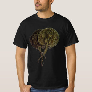 Camiseta Raias, Raias Marinhas, Animais Marinhos Antigos