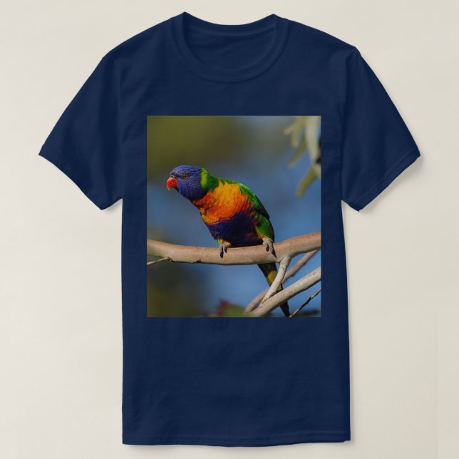 Camiseta Rainbow Lorikeet 4 (Frente do Design)